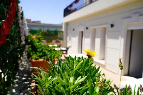 Hotel Suisse Tunis من الخارج Photos