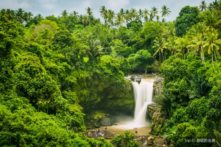 Bali