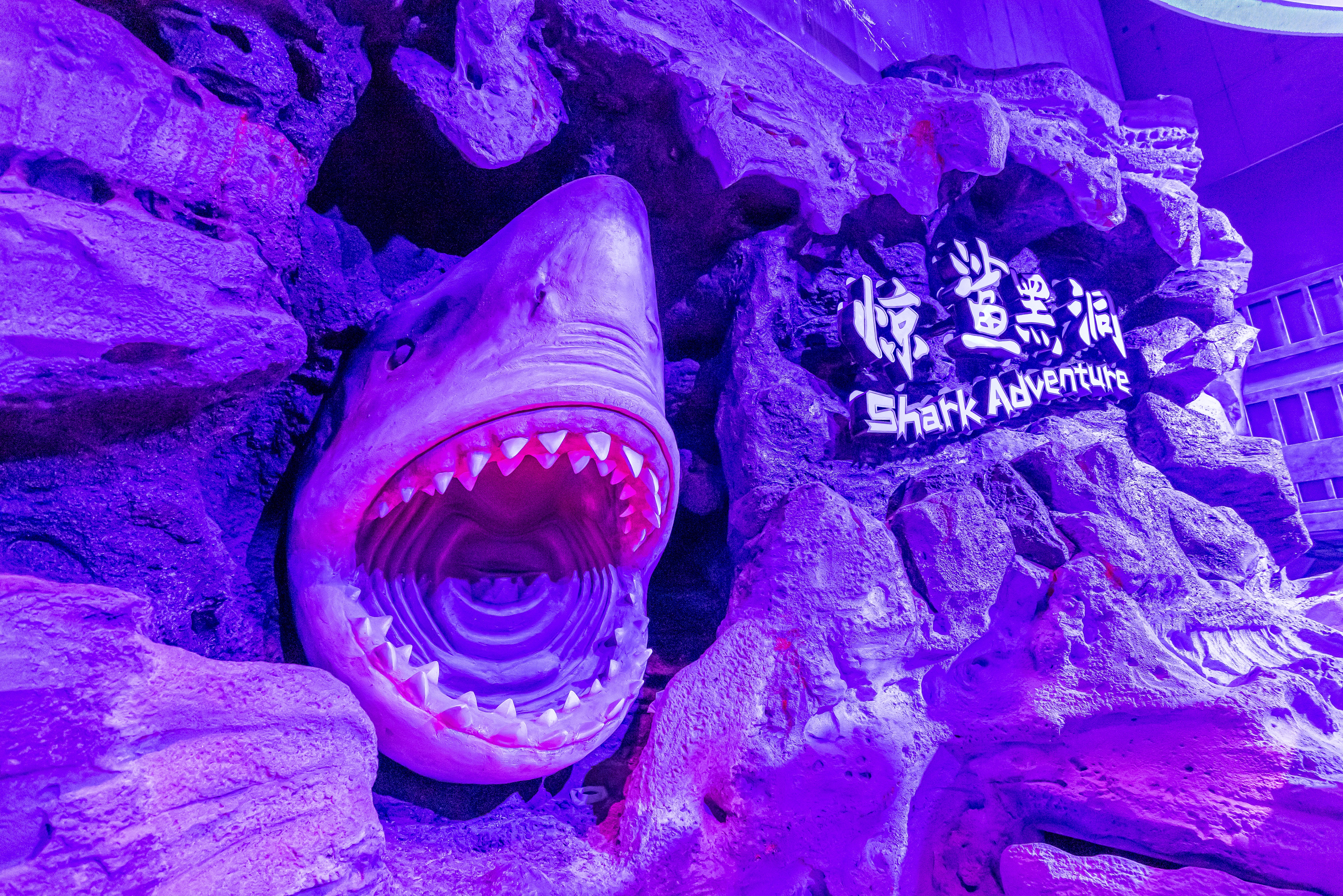 長隆飛船樂園