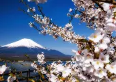 2025年日本花火大会の完全ガイド：全国カレンダー・開催場所・交通案内徹底解説